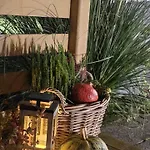 Trzesawisko Тшенсач