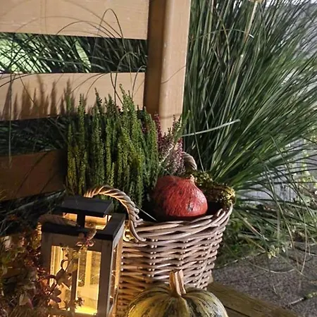 Trzęsawisko Trzęsacz