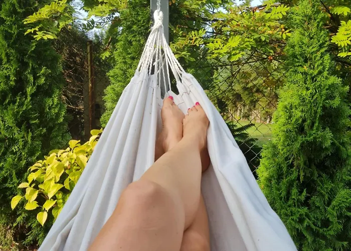 Trzesawisko Trzesacz