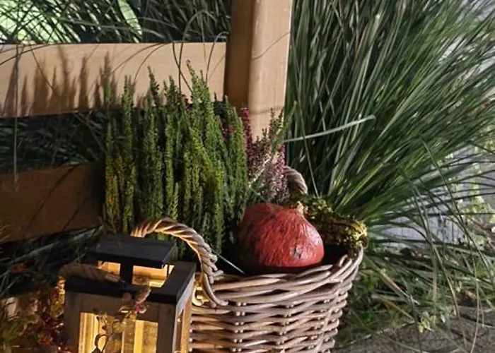 Trzesawisko トシェンサチ