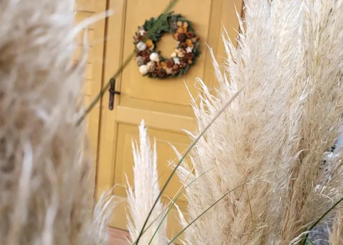 Trzesawisko * トシェンサチ